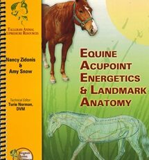 EquAcuEneAnaThumb