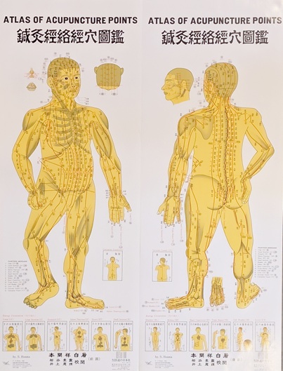 Atlas of Acupuncture Points - Image 4