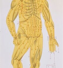 Atlas of Acupuncture Points
