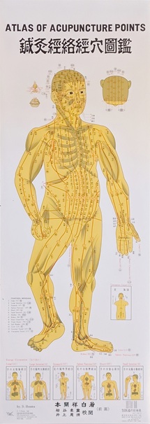 Atlas of Acupuncture Points