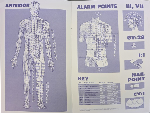 Point Reference Guide: The Meridians of Chi Energy – Mini Chart Edition (Used/Hurt) - Image 4